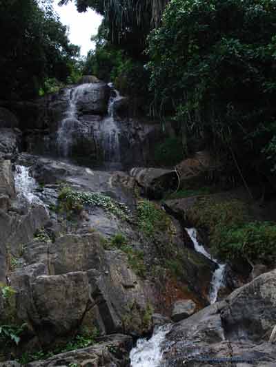photo 20 English dense forest and visit the surrounding waterfalls on Koh Samui in Thailand 400